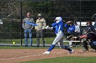 Softball vs Springfield  Wheaton College Softball vs Springfield College. - Photo by Keith Nordstrom : Wheaton, Softball